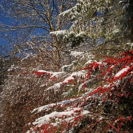 Frühstückspension Luxbacherhof Sankt Stefan im Lavanttal