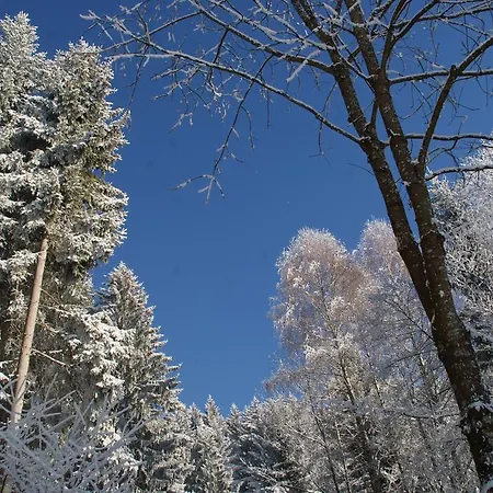 Luxbacherhof 3*