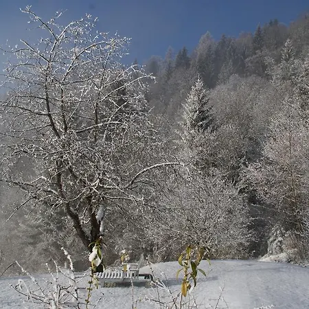 Nocleg ze śniadaniem Luxbacherhof Sankt Stefan im Lavanttal
