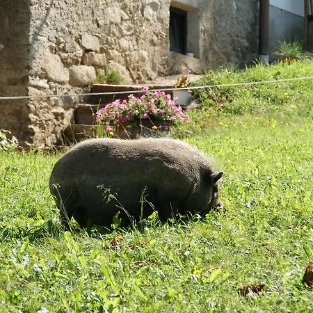 Luxbacherhof Frühstückspension